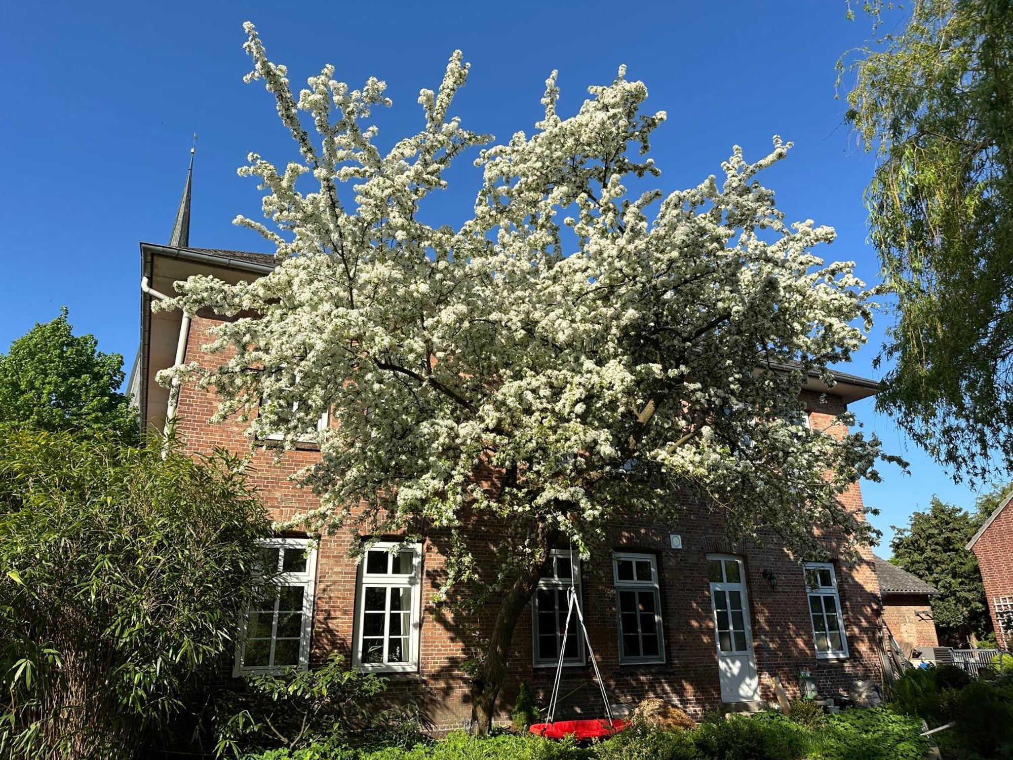 Altes Pastorat Bed & Breakfast Barmstedt Exterior photo